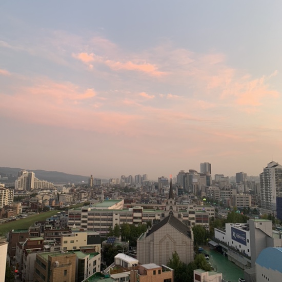  19년 10월 14일 (feat. 유튜브, 시차적응 실패, 밤샘, 본마망 마들렌, 제주사랑감귤사랑, 일출, 드라마, 어쩌다 발견한 하루, 김혜윤, 로운)