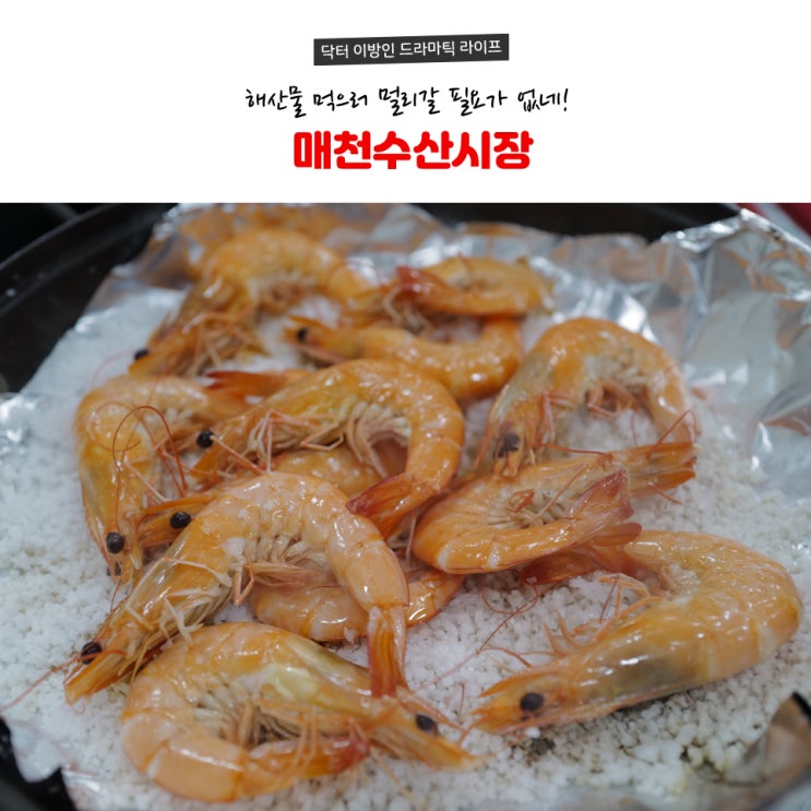  대구 매천수산시장 해산물 먹방타임