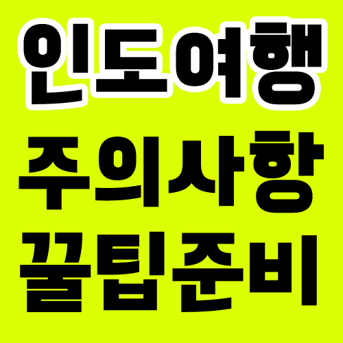  여자혼자 인도여행 시 주의사항과 후기