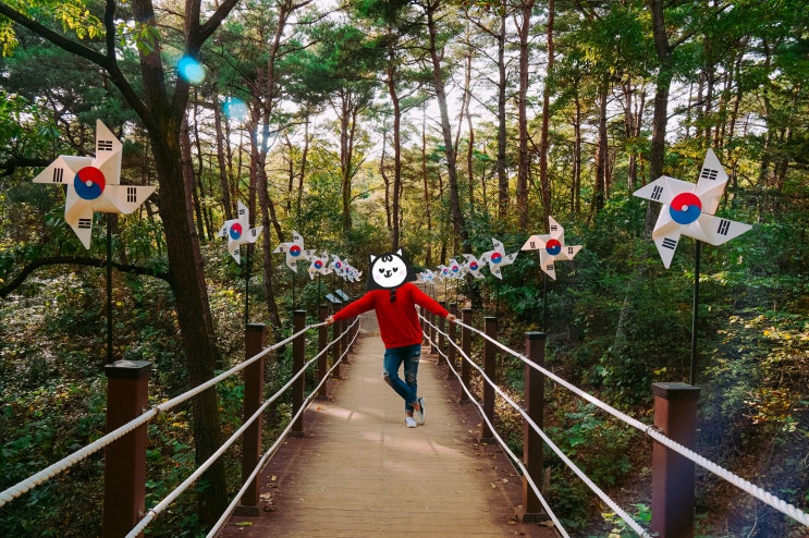  영월 한반도지형 전망대 선암마을 좋구나