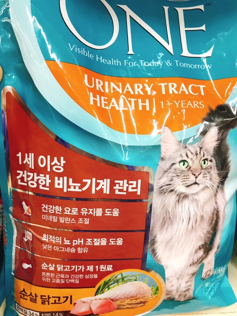 사랑스런 냥이 사료 어디서 구입하시나요?