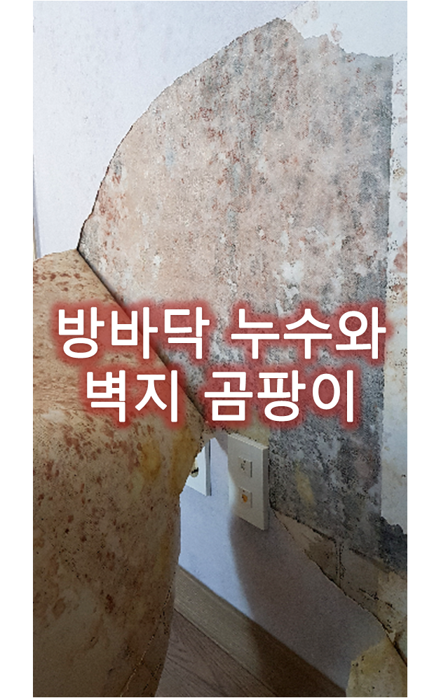  벽지 곰팡이 발생의 원인 알아보기_벽지 곰팡이 결로가 아닌 누수가 원인일 수 있습니다_인천 청라 신도시 아파트 벽지 곰팡이 제거 후 벽지 곰팡이 방지 단열벽지 시공