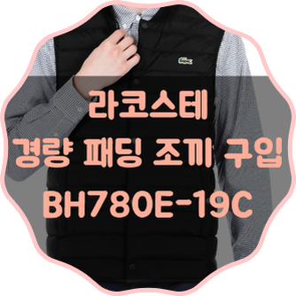 라코스테 경량 패딩 조끼 구입/ 경량다운 베스트/ 따뜻한 겨울을 보내자!