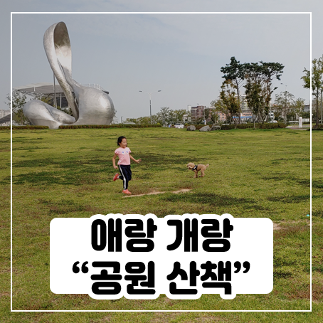 애랑개랑 아시아드경기장 공원 산책했어요 애랑개랑 아시아드경기장 공원 산책했어요