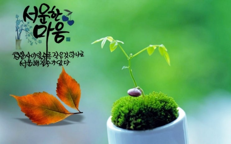  오늘의 좋은글, 오늘의 뉴스 헤드라인(2019.10.15)