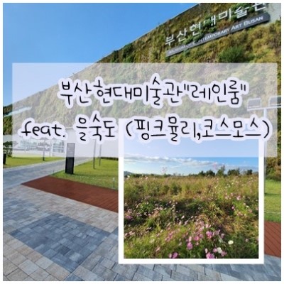 부산현대미술관"레인룸"  feat. 을숙도 (핑크뮬리,코스모스)