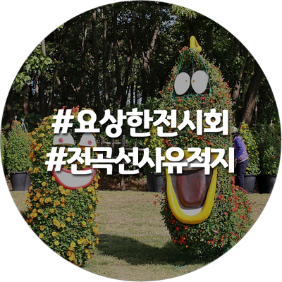 서울근교 가을여행 연천 전곡선사유적지 요상한 호박 국화 전시
