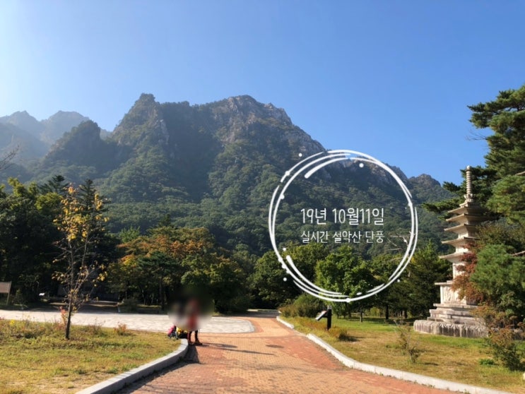  설악산 단풍(10/11일기준) 날씨가 좋아 더 아름다워