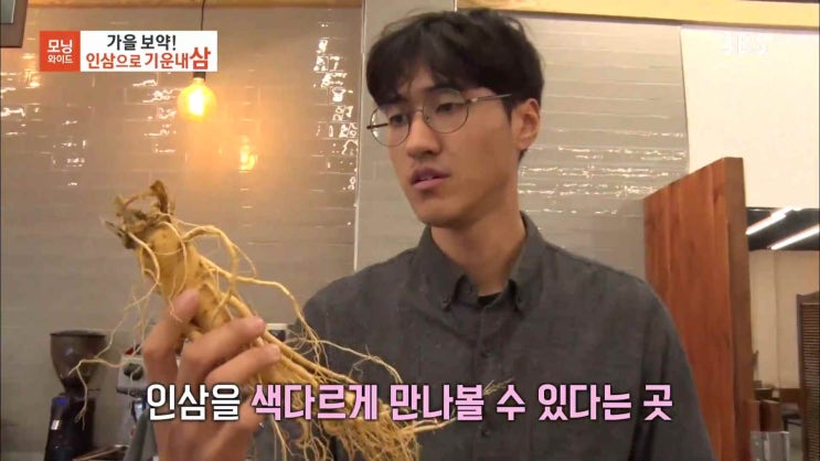  SBS 모닝와이드 인삼카페 카페삼차 보은카페 나왔어요^^