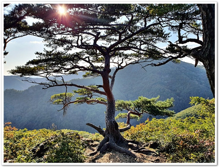 [전북_진안]운장산과 구봉산 힘들게 산행했습니다 2019년 10월 13일