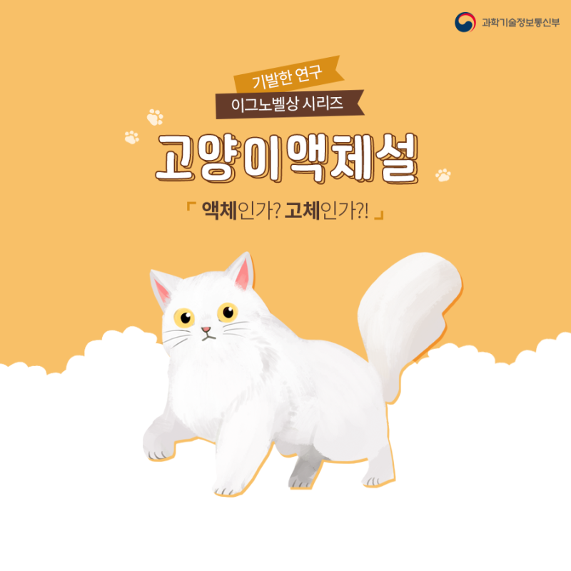 액체인가? 고체인가? 고양이 액체설 (Feat.이그노벨상) : 네이버 블로그