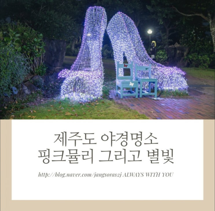 제주도 야경명소 낮에는 핑크뮬리 밤에는 별빛놀이