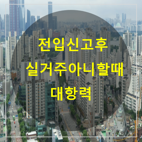  전입신고 후 실거주 아니할 때 대항력