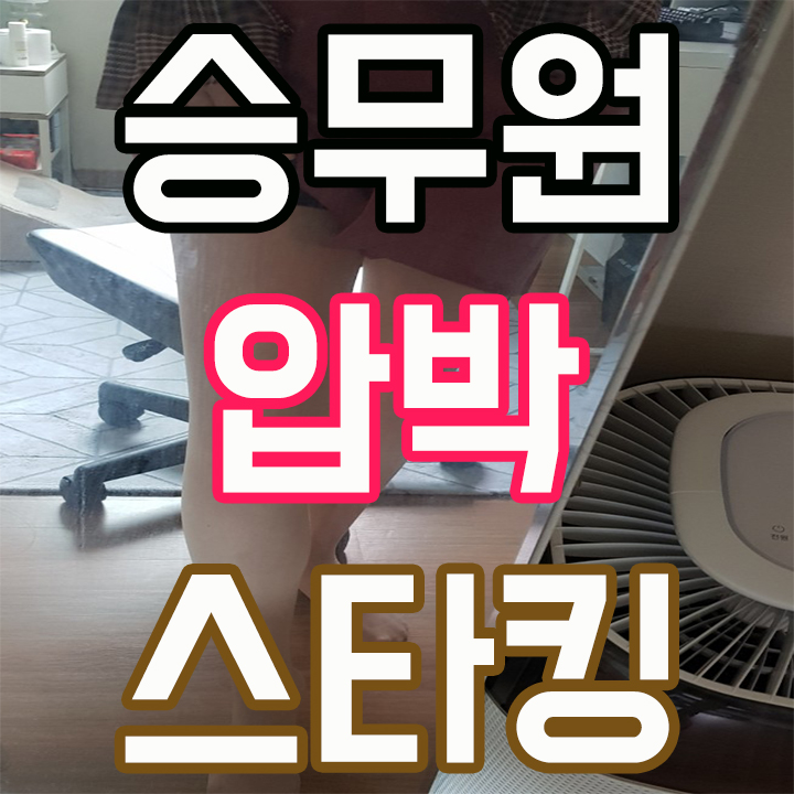  승무원 압박스타킹 여동생 생일선물로 사주다!