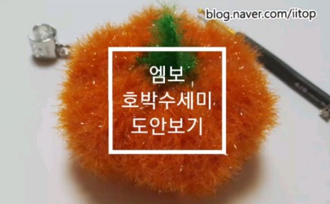  신디의 엠보 호박수세미