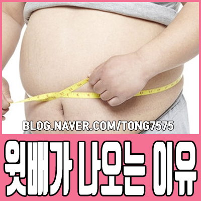  윗배가 나오는 이유 알고 개선해보자
