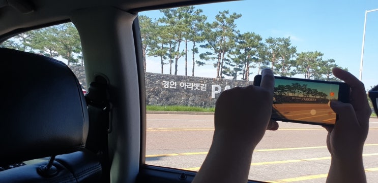  강아지와 인천가볼만한 곳