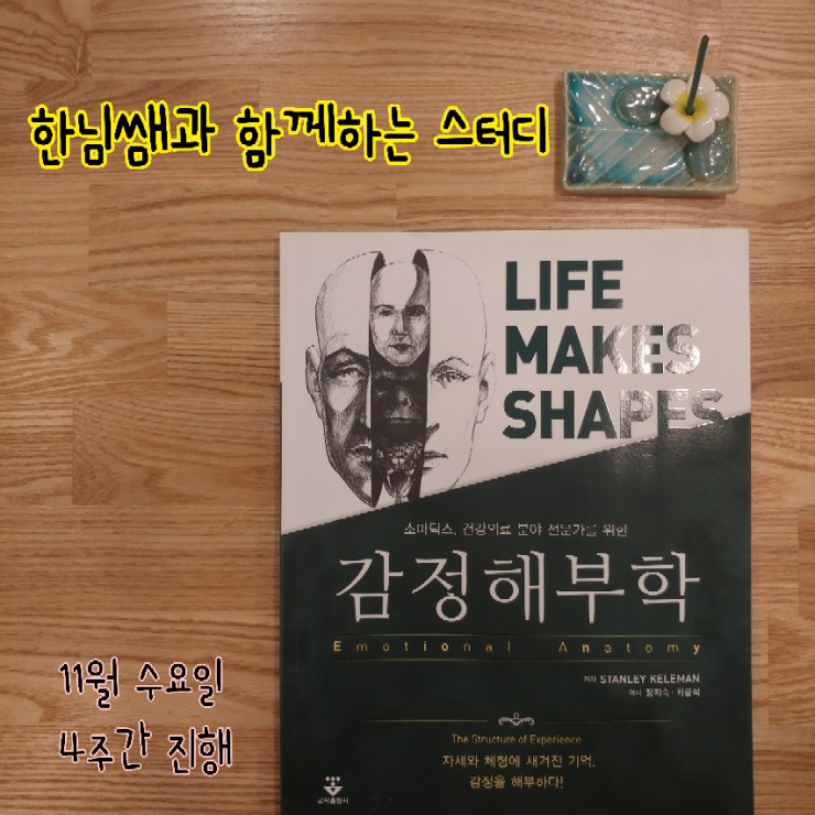  [939 H. 필라테스 연구소] "감정해부학" 책 끝내기 스터디 모집 종료