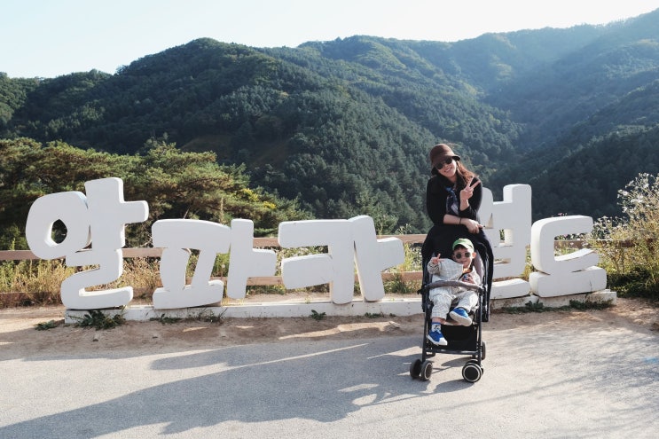  강원도/홍천_알파카월드, 가을날씨에 아이와 가볼만한 서울 근교 당일치기 코스로 추천 (ft. 작은 동물원 같네!)