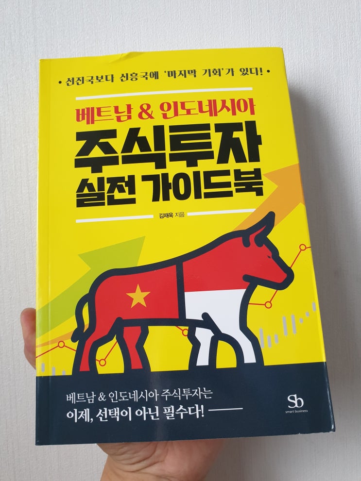  신흥국투자 베트남인도네시아 주식투자 실전 가이드북