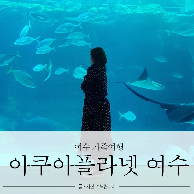  아쿠아플라넷 여수 1박2일 10월 여행 코스 엄마랑 즐겁게