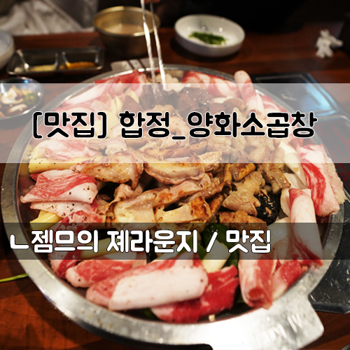  <서울 합정> [합정 / 양화소곱창] 합정 곱창 맛집은 바로 여기! 양화 소곱창