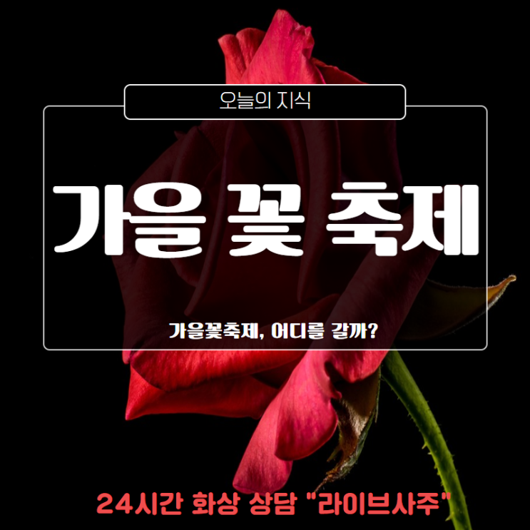  가을꽃축제, 어디를 갈까?