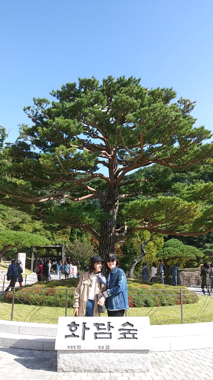  10월의 어느 멋진 날-화담숲 다녀 오다
