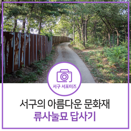  재미있는 인천의 역사기행! 서구의 아름다운 문화재 류사눌묘에 가다