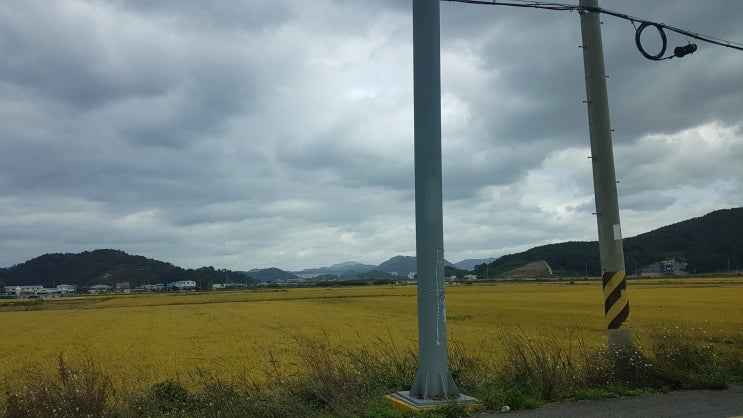 김해 날씨가 우중충한데 한가로이 산책하긴 좋은 가을입니다