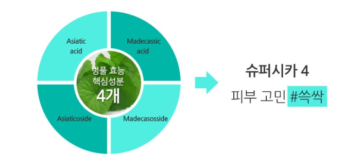  시카(CICA)란 , 효능, 성분 :: 병풀의 핵심 성분