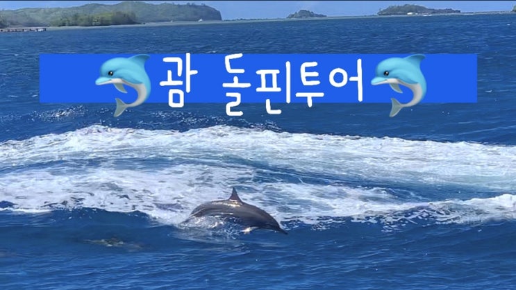  스노쿨링 + 무제한 생참치 + 바다낚시 + 돌고래까지 볼 수 있는 괌 돌핀투어!