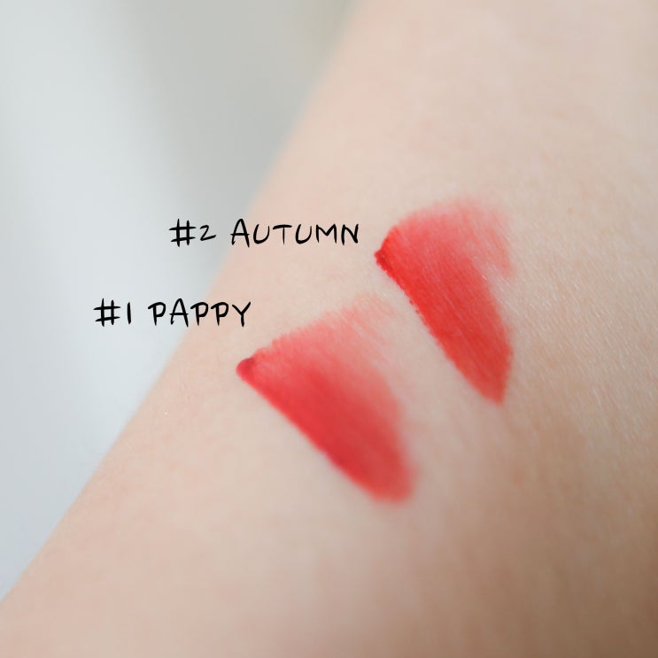  입큰 셀피 블러틴트 #PAPPY #AUTUMN 가을웜톤립틴트