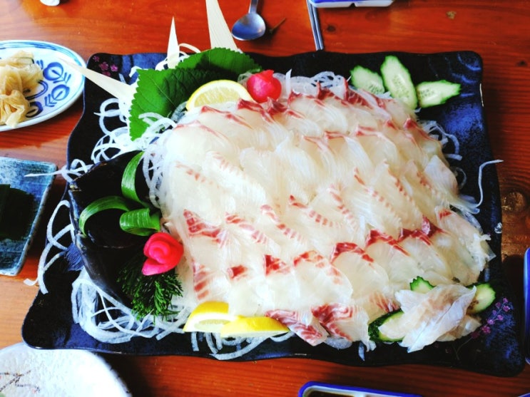  [서귀포맛집] 제주도의 싱싱한 회 코스요리 드실땐 대포동산횟집 가보세요! 솔직후기
