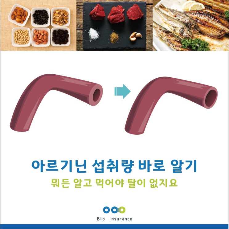  아르기닌 섭취량 바로 알기