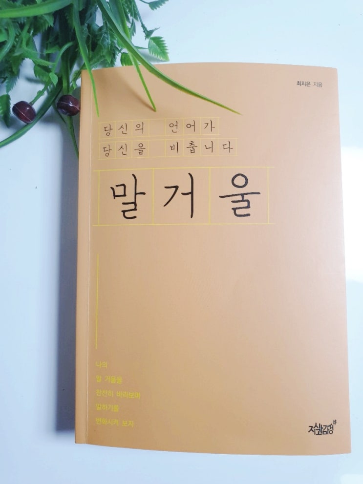  말거울 스피치를 배우다 최지은작가