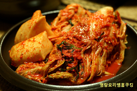  2019년11월~12월 정규반/ 테마별 1회특강 - 공지