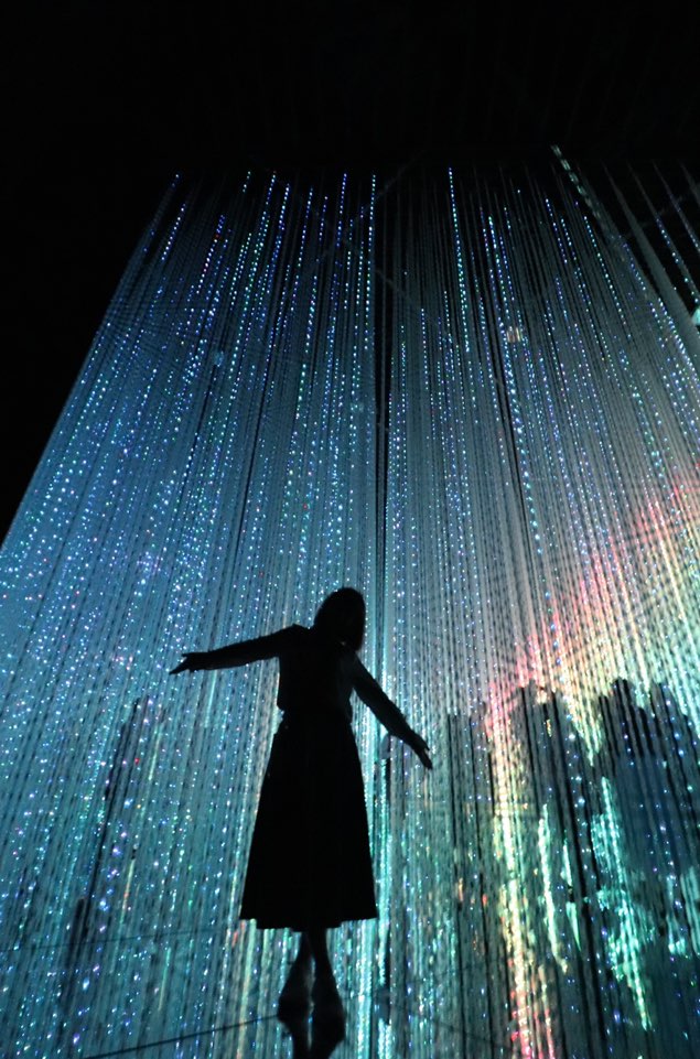  [도쿄/오다이바] 누구나 인생사진을 얻어가는 곳, <팀랩 보더리스(teamLab Borderless)> - 위치, 관람료, 후기, 꿀팁