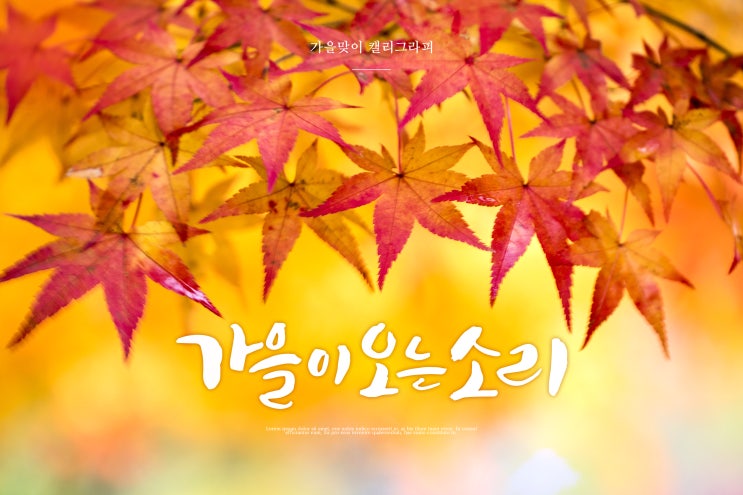 '가을타나봐~' 가을우울증 / 계절성 정동장애 해결법은?