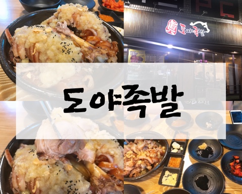  [공릉맛집]도야족발