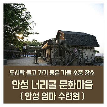  도시락 들고 소풍 가기 좋은 계절, 가을 소풍가자, 안성 엄마수련원