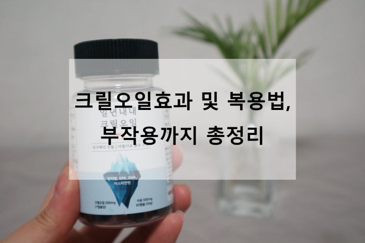  크릴오일효과 및 복용법, 부작용까지 총정리