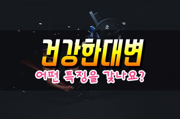  건강한 대변 소변 특징, 몸속 독소 제거 방법 심층분석