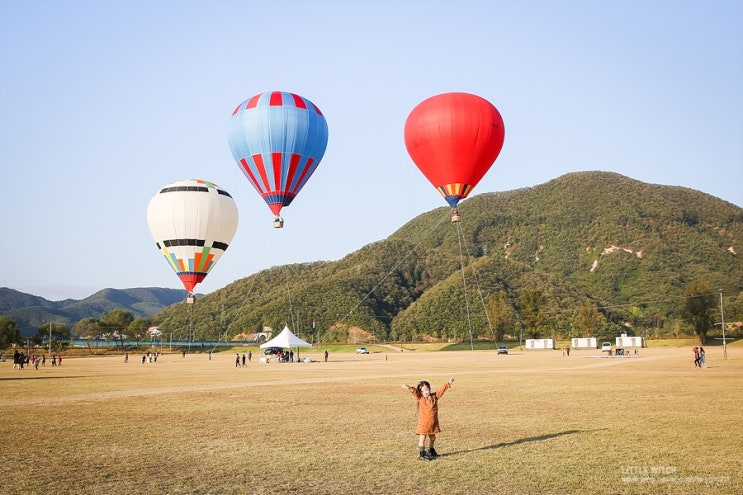  [가평 자라섬] 열기구 보며 꽃길을 걷다, 가평 가볼만한 곳, 자라섬 구절초, 가평 열기구체험