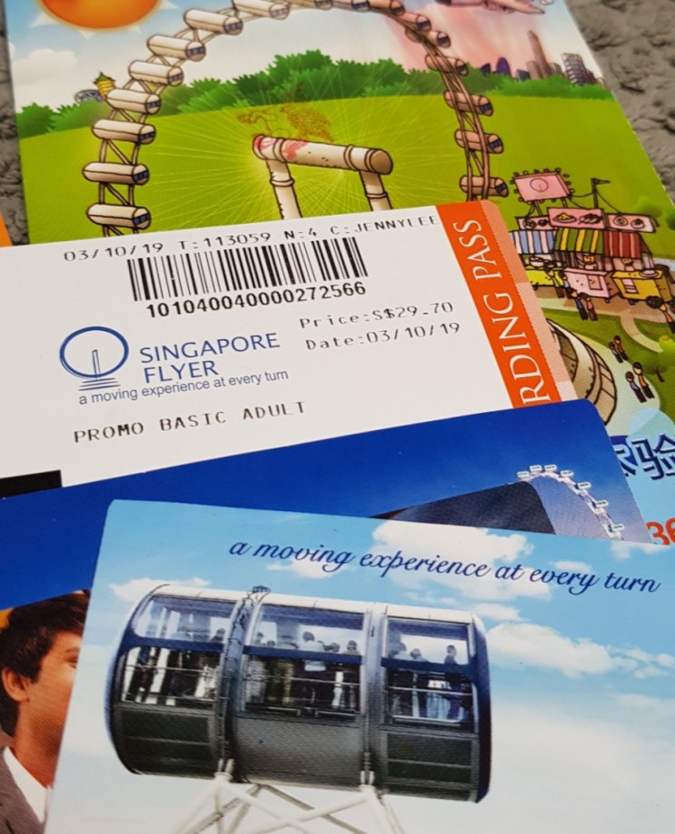  싱가포르 SINGAPORE FLYER(관람차)
