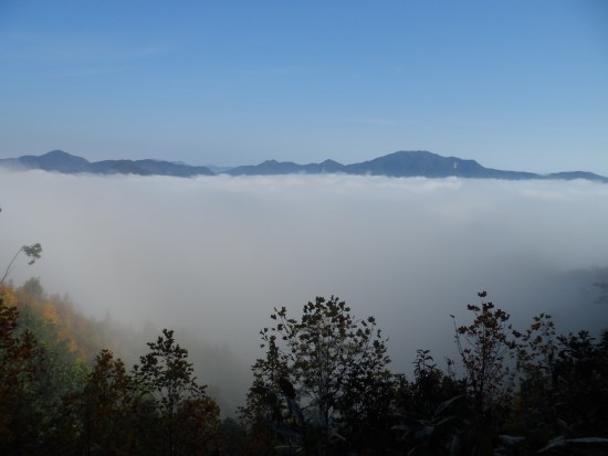  가을 참 좋다