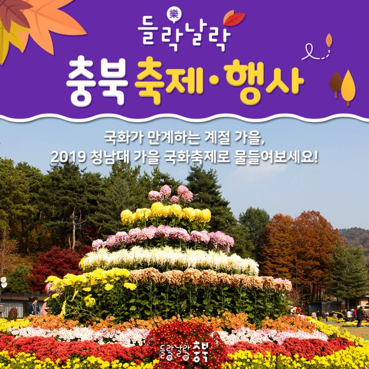 가을을 담은 국화향기, 2019 청남대 국화축제로 오세요!