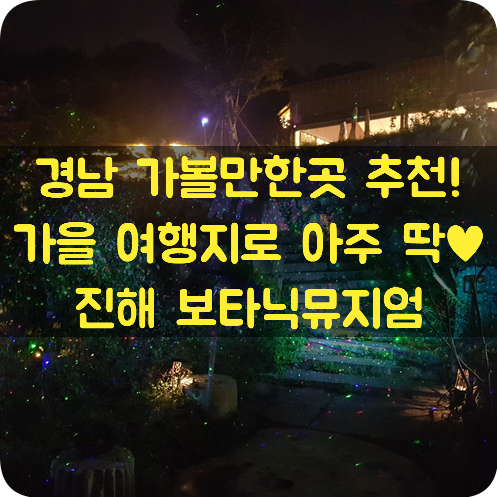 경남 가볼만한곳 추천  진해 보타닉뮤지엄  야경이 이쁜 곳 가을여행지로 아주 안성맞춤 힐링 하고 오세요!