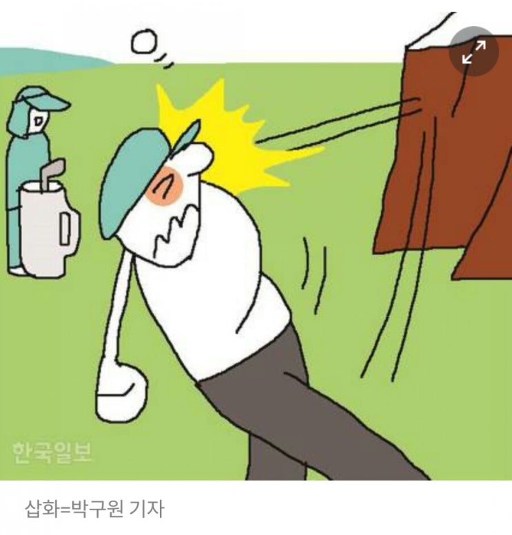 "바위 넘기려 친 골프공 튕겨 실명.. 고객 안 말린 캐디에도 배상 책임" "바위 넘기려 친 골프공 튕겨 실명.. 고객 안 말린 캐디에도 배상 책임"