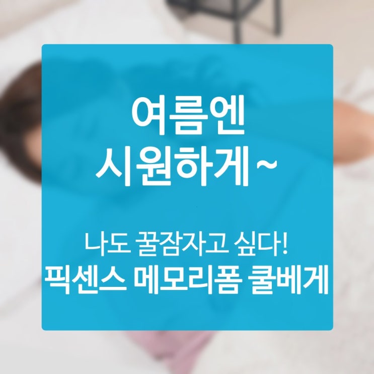  여름배개 인생의 퀄리티가 급격히 치솟아오르는 중!